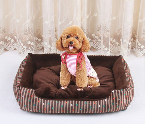 Hallupets Zdejmowane Duże Wygodne Legowisko Xl Rozmiar 1580g Luksusowe Domy dla Psów