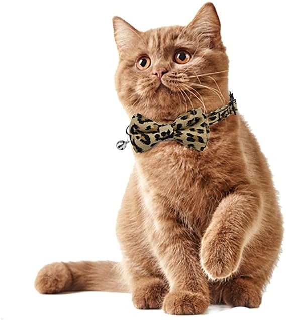 Breakaway Buckle Cat Collar Bells z uroczą muszką dla małych psów Kitty Regulowany