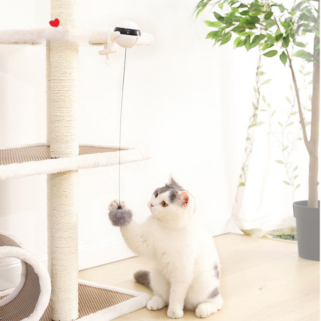 Interaktywny elektroniczny Auto Lift Ball Cat Zabawki dla zwierząt Funny Stick Cat Teaser Toy