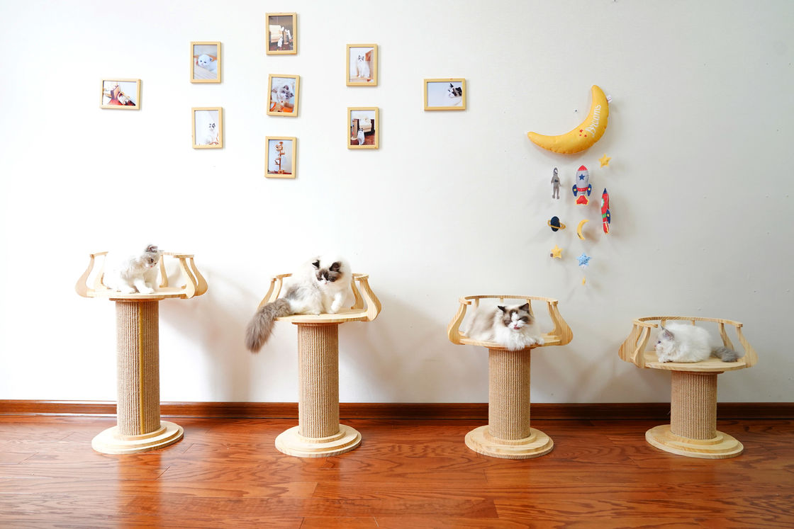 Ekologiczny drapak z drewna Wspinaczka na drzewo Wieża Cat Photo Table L Rozmiar 72cm M 62cm