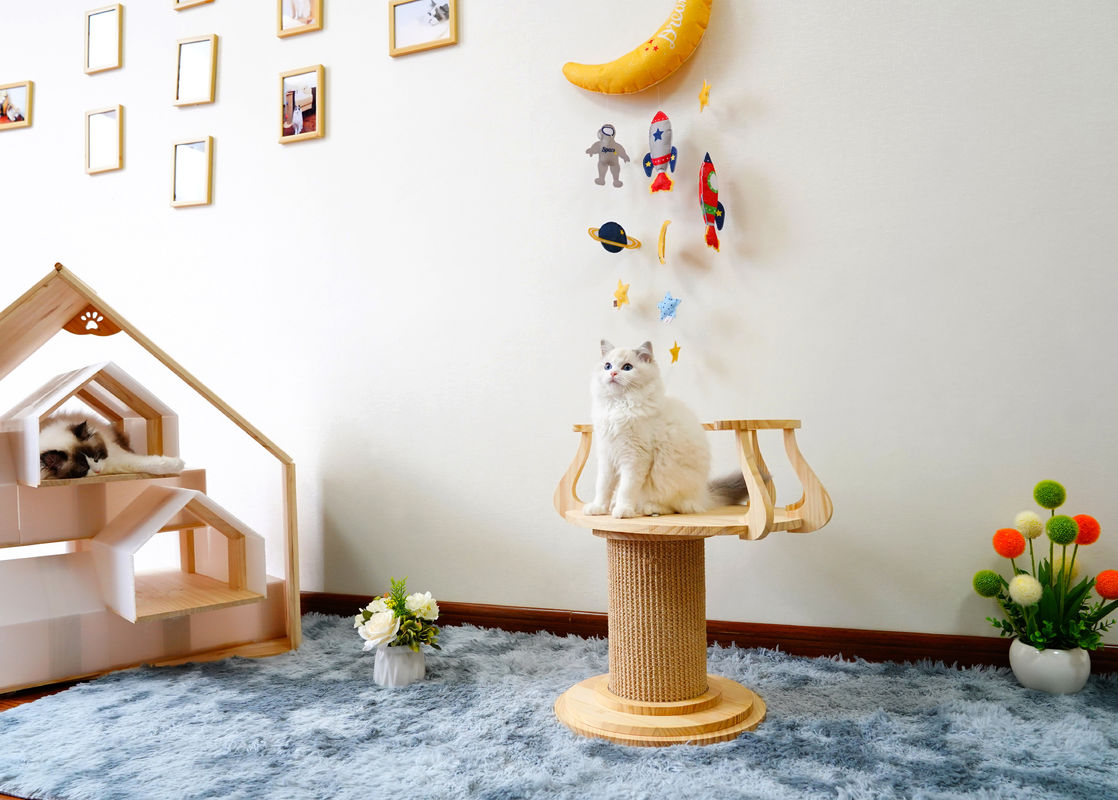 Ekologiczny drapak z drewna Wspinaczka na drzewo Wieża Cat Photo Table L Rozmiar 72cm M 62cm
