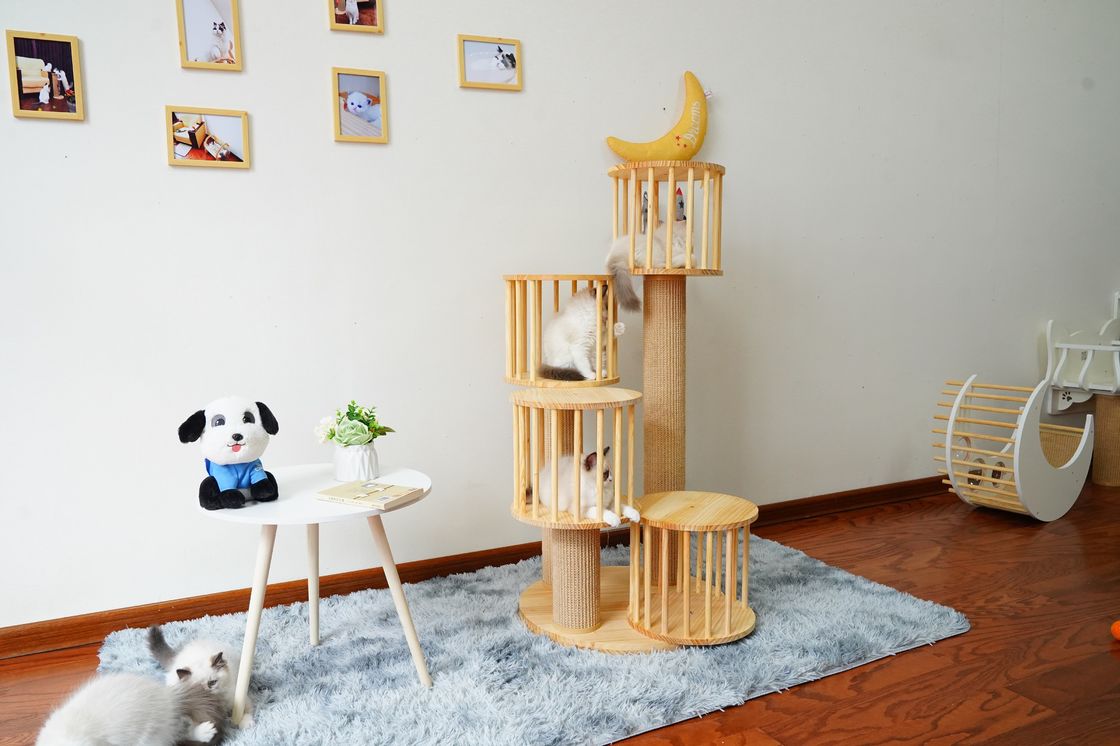 Trwały dom Kitten Cat wspinaczka na drzewo Tower Condo z drapakami