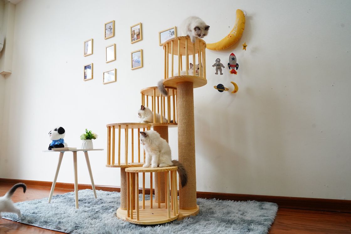 Trwały dom Kitten Cat wspinaczka na drzewo Tower Condo z drapakami
