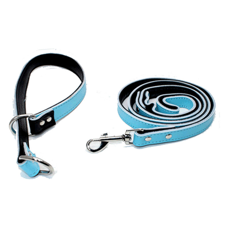 Custom Puppy Popularny zestaw obroży i smyczy dla psa Regulowany skórzany łańcuszek P Dog Choke