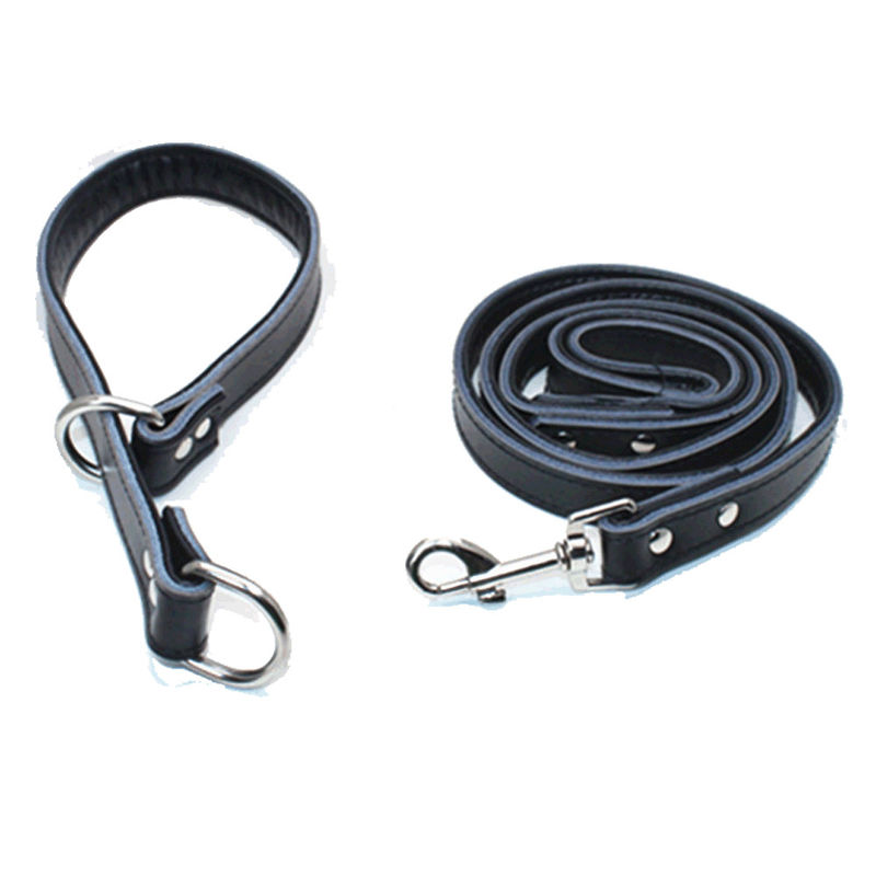 Custom Puppy Popularny zestaw obroży i smyczy dla psa Regulowany skórzany łańcuszek P Dog Choke