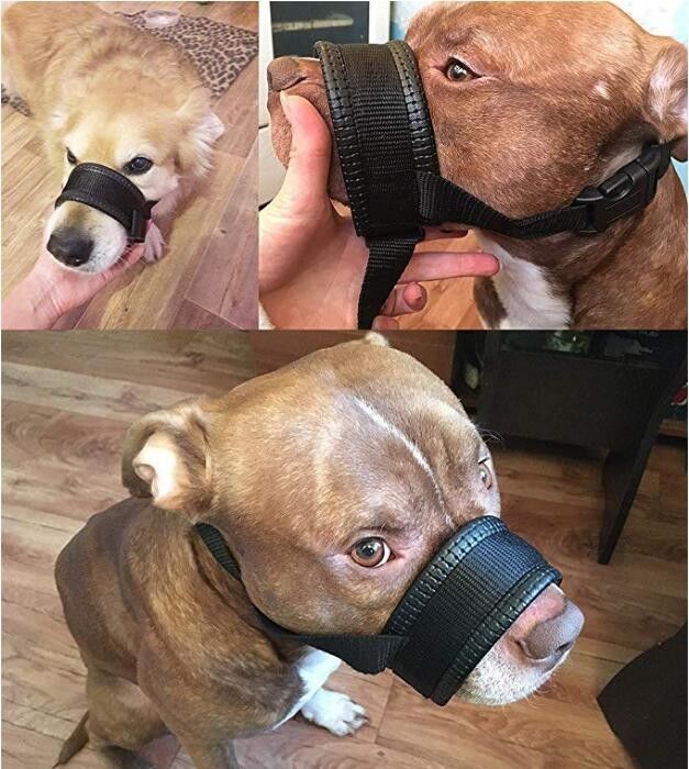 Nylonowy obroża z kagankiem dla psa zestaw szelek Miękka wyściełana osłona na usta psa Anti Bite