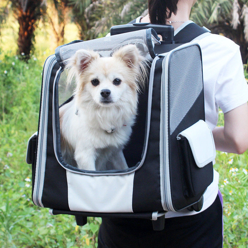 Teleskopowy uchwyt Pet Travel Carrier Plecak Wózek dla małych psów i kotów