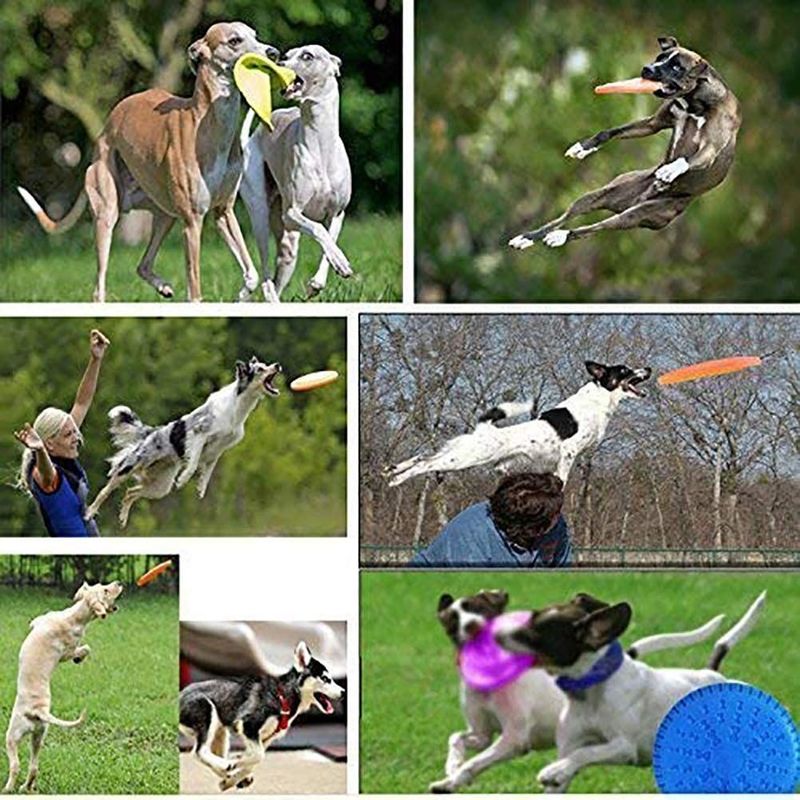Żel krzemionkowy Outdoor Dog Flying Disk Dog Fetch Training Toy
