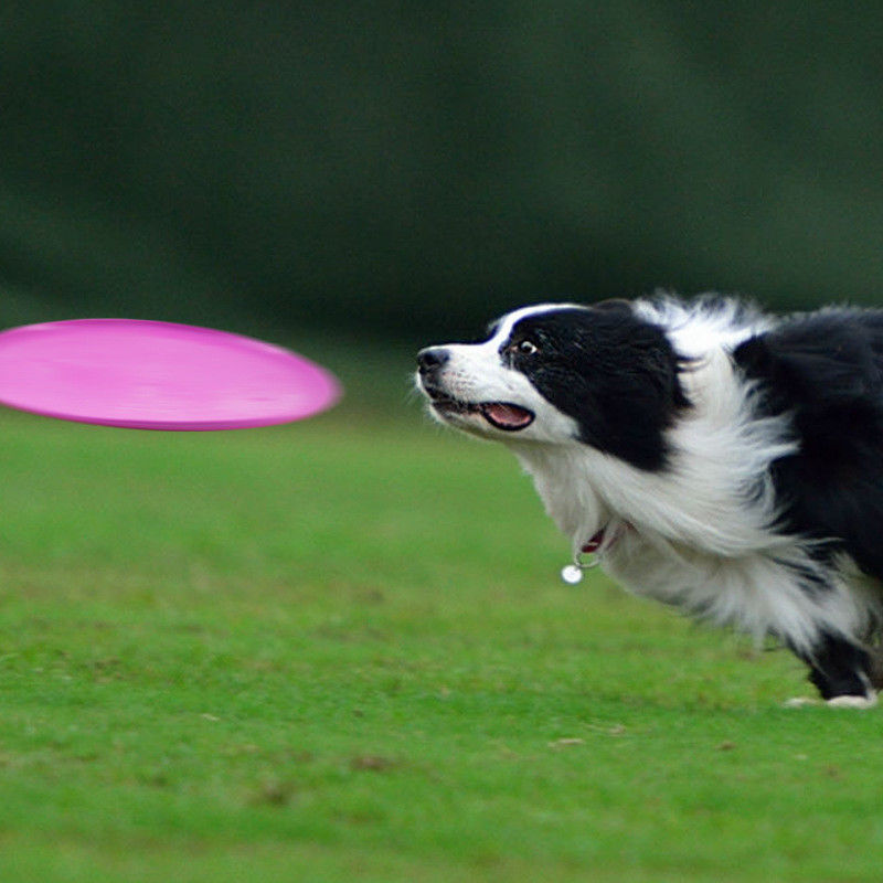Żel krzemionkowy Outdoor Dog Flying Disk Dog Fetch Training Toy