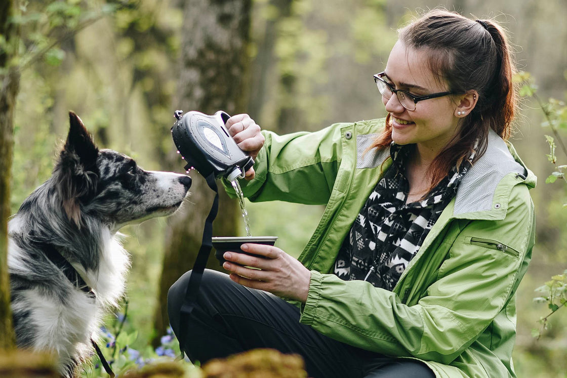 SEDEX Dogs Travel Miska na bidon Projektanci All In One Dog Leash