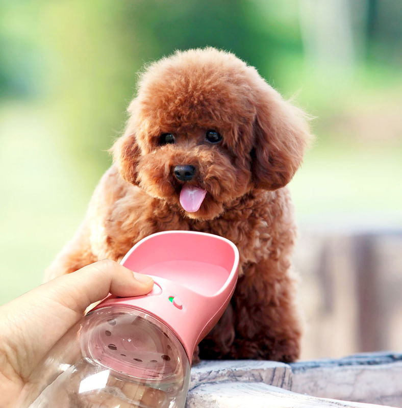 12-20OZ Drink Cup przenośna składana butelka na wodę dla psa do chodzenia