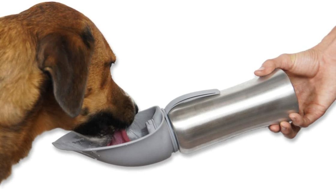Butelka na gorącą wodę ze stali nierdzewnej Travel Pets z silikonową miseczką 42 uncje / 1200 ml